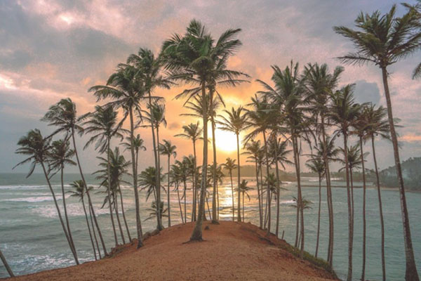 Mirissa Beach Sri Lanka